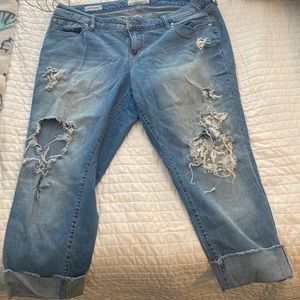 Torrid Boyfriend Jeans